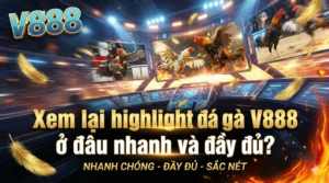 Xem lại highlight đá gà V888 ở đâu nhanh và đầy đủ?