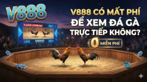 V888 có mất phí để xem đá gà trực tiếp không?