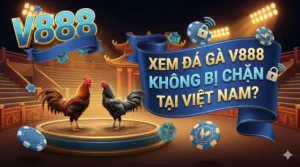Ở đâu có thể xem đá gà V888 không bị chặn tại Việt Nam?