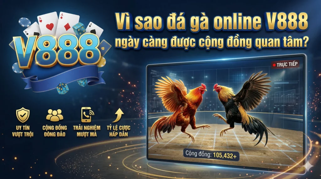 Vì sao đá gà online V888 ngày càng được cộng đồng quan tâm?