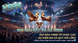 Khi nào V888 tổ chức các sự kiện đá gà quy mô lớn?