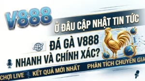 Ở đâu cập nhật tin tức đá gà V888 nhanh và chính xác?