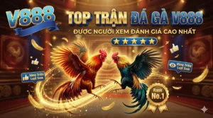 Top trận đá gà V888 được người xem đánh giá cao nhất