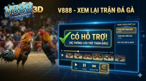 V888 có hỗ trợ xem lại trận đá gà đã phát sóng không?