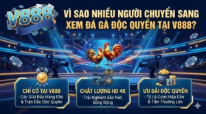Vì sao nhiều người chuyển sang xem đá gà độc quyền tại V888?